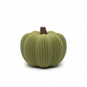 3D geprinte pompoen plat model