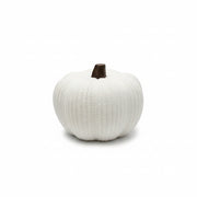 3D geprinte pompoen plat model