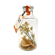 Botanic Spritz Mocktail | Orange Yarrah Elderflower | Alcoholvrij